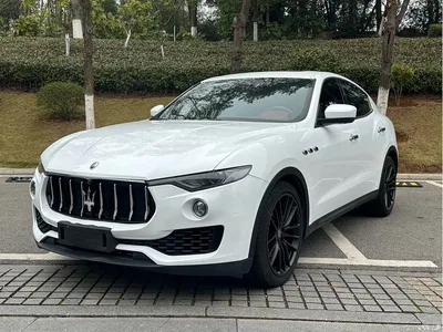 2016 Maserati Levante 3.0T Standard, фото 1, лот 10322239