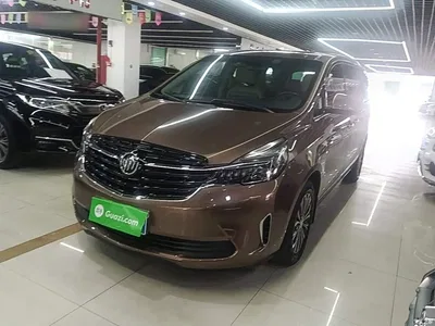 2020 Buick GL8 Model Land Business Class 652T Luxury, фото 2, лот 10262028