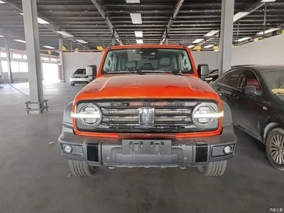 2023 Tank 300 Off-Road Edition 2.0T Conqueror, фото 3, лот 10615463
