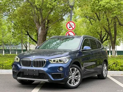 2019 BMW X1 sDrive20Li Leading Model, фото 1, лот 10465988