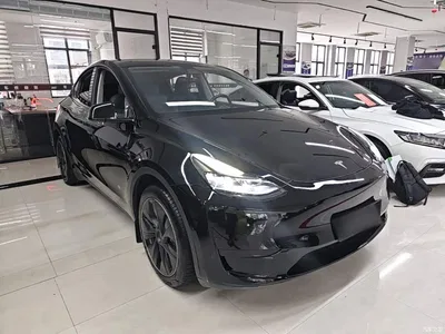 2022 Tesla Model Y Facelift Rear-Wheel Drive Version, фото 4, лот 11139011