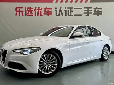 2017 Alfa Romeo Giulia 2.0T 200HP Elite Edition, фото 1, лот 11203756