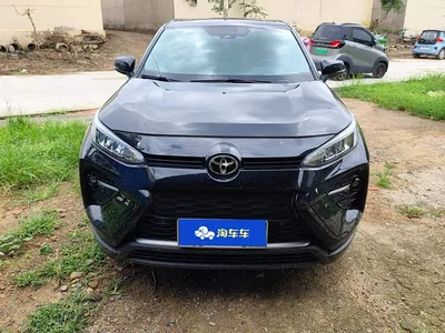2021 Toyota Wildlander 2.0L CVT 2WD Luxury Edition, фото 2, лот 10299821