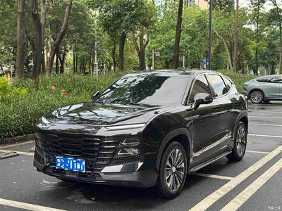 2022 Jetour Dasheng 1.6T DCT King PLUS, фото 1, лот 10827030