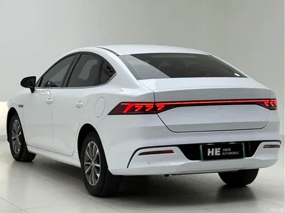 2023 BYD Qin PLUS Champion Edition DM-i 55KM Leading, фото 4, лот 10400330