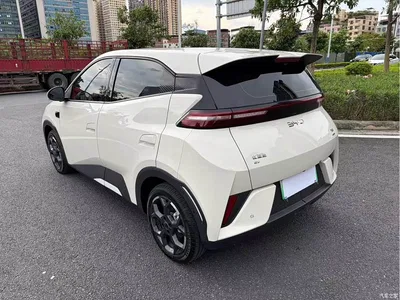 2025 BYD Seagull Smart Drive Edition 305km Freedom Version, фото 4, лот 10246514
