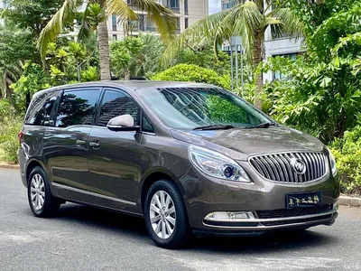 2014 Buick GL8, фото 3, лот 10245129