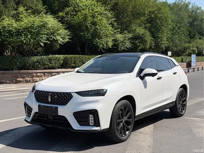 2020 WEY VV7 2.0T Super Luxury, фото 3, лот 10452015