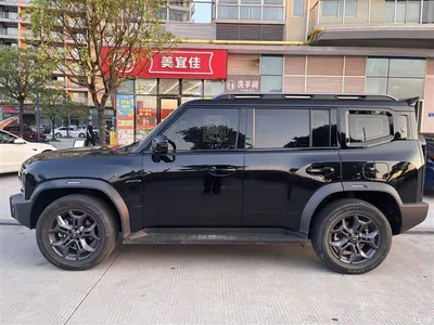 2023 Jetour Traveler Model 2.0T 4WD Cross PRO, фото 2, лот 10425258