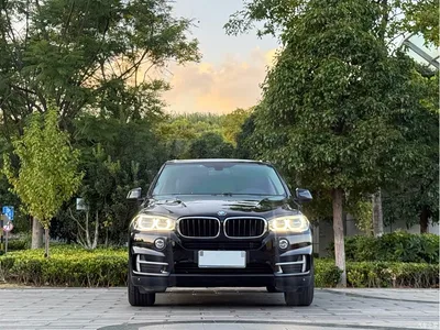 2014 BMW X5 (Import) xDrive35i Elegance, фото 2, лот 11178482