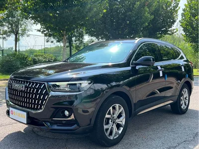 2021 Haval H6 Model National Trend Edition 1.5T Auto Champion, фото 1, лот 10300943