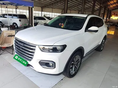 2020 Haval H6 1.5GDIT Automatic Platinum Champion Edition, фото 1, лот 10283823