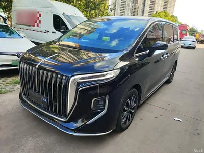 2023 Hongqi HQ9 2.0T Smart Connect Flag Rhyme Edition, фото 2, лот 10289473