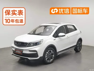 2019 Geely Vision X3 Upgraded Edition 1.5L CVT Premium, фото 1, лот 10842404