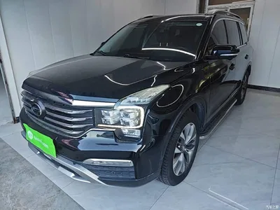 2017 GAC Trumpchi Trumpchi GS8 320T 2WD Luxury Smart Connect (7-seater), фото 1, лот 10421755