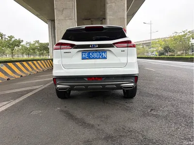2020 Geely Boyue 1.8TD DCT 2WD Zhilian 4G Connected Edition, фото 4, лот 11220279