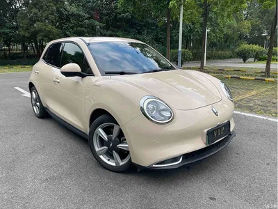 2021 Ora Good Cat 400km Standard Range Athena Edition (LFP), фото 3, лот 10447810