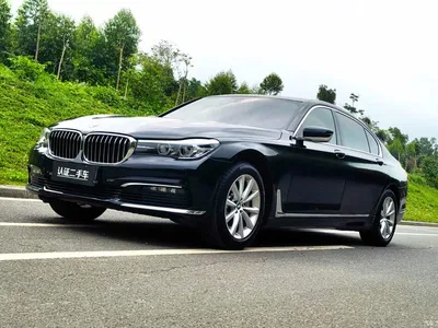 2017 BMW 7 Series 730Li Leading Edition, фото 1, лот 10236674