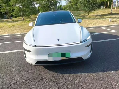 2025 Tesla Model Y Model Rear-Wheel Drive Launch Edition, фото 2, лот 10482496