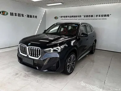 2024 BMW X1 xDrive25Li M Sport Package, фото 1, лот 11547285