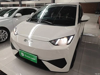 2025 BYD Seagull Smart Drive Edition 305km Vitality Version, фото 2, лот 10262793