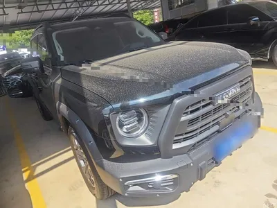 2024 Haval Big Dog 2.0T DCT Chinese Rural Dog Edition, фото 4, лот 10361507