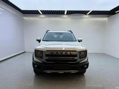 2024 Haval Big Dog 1.5T DCT Border Collie Edition, фото 2, лот 10361550