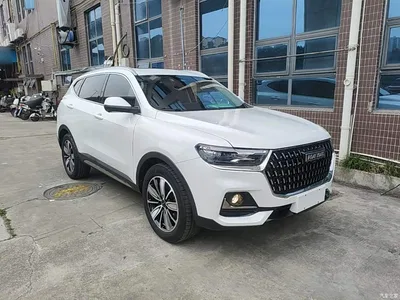 2023 Haval H6 National Trend Edition 1.5T Automatic Champion, фото 4, лот 10286830