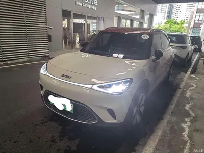 2026 smart Elf #1 Agile New Luxury Edition, фото 1, лот 10342893