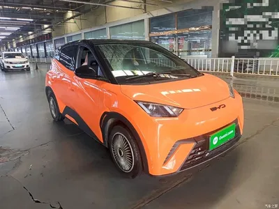 2024 BYD Seagull Glory Edition 305km Vitality Edition, фото 4, лот 11199219