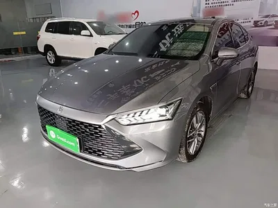 2023 BYD Qin PLUS Champion Edition DM-i 120KM Leading Type, фото 2, лот 10389172