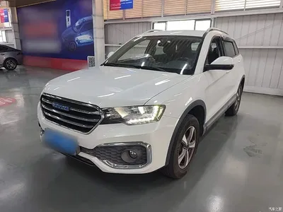 2018 Haval H6 Coupe Blue Label 1.5T Auto 2WD Luxury Edition, фото 1, лот 10390725