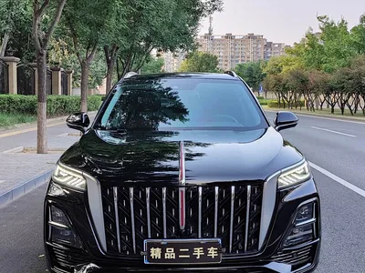 2025 Hongqi HS5 2.0T 4WD Qixiang Pro, фото 4, лот 10768536