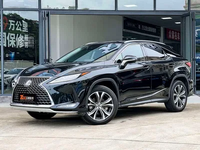 2020 Lexus RX 300 AWD Elegance Edition China V, фото 1, лот 10316739