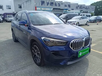 2020 BMW X1 sDrive25Li Leading Model, фото 4, лот 10662388