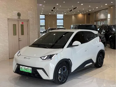 2023 BYD Seagull Freedom Edition, фото 1, лот 10246284