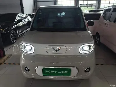 2024 Wuling Motors Hongguang MINIEV 3rd Generation 215km Youth Edition, фото 3, лот 10371197
