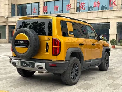 2023 Byd Leopard 5 Pilot Edition, фото 4, лот 10828725