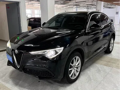 2017 Alfa Romeo Stelvio 2.0T 200HP Luxury Edition, фото 1, лот 10239873