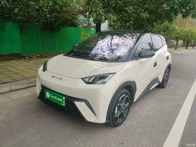 2023 BYD Seagull Freedom Edition, фото 1, лот 10262838