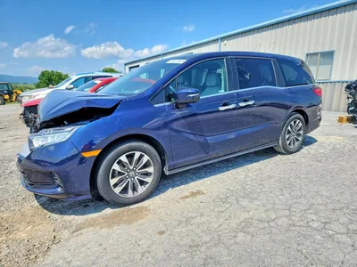 2024 HONDA ODYSSEY EXL, фото 1, лот 10706549