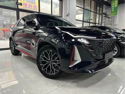 2023 Oshan Z6 Blue Whale 1.5T DCT Smart Leader, фото 3, лот 10406894