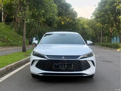 2024 BYD Qin L DM-i 80KM Leading Edition, фото 4, лот 10254868