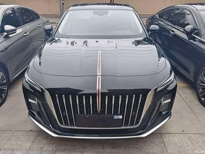 2024 Hongqi H5 1.5T DCT Smart Connect Flag Joy Edition, фото 2, лот 11203031