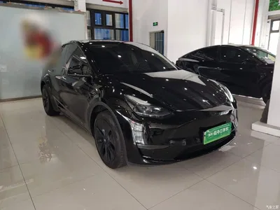 2023 Tesla Model Y Long Range All-Wheel Drive Edition, фото 4, лот 10369830