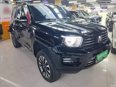 2024 Tank 700 New Energy Hi4-T Extreme Edition, фото 4, лот 11181544