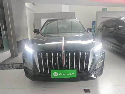 2025 Hongqi HS5 2.0T 2WD Qixiang Pro, фото 3, лот 10289448