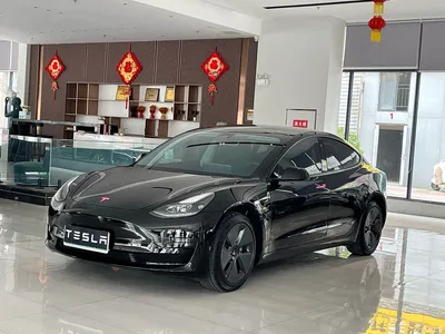 2022 Tesla Model 3 Model Rear-Wheel Drive Version, фото 1, лот 10346056