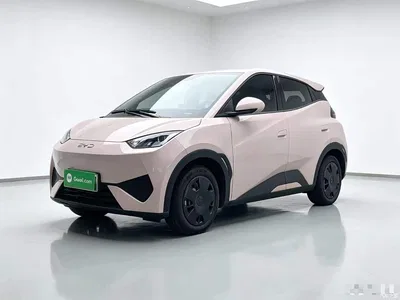 2025 BYD Seagull Smart Drive Edition 305km Vitality Version, фото 1, лот 11565868