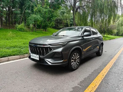 2021 Changan Oshan Changan Oushang X5 1.5T DCT Flagship, фото 1, лот 11163648